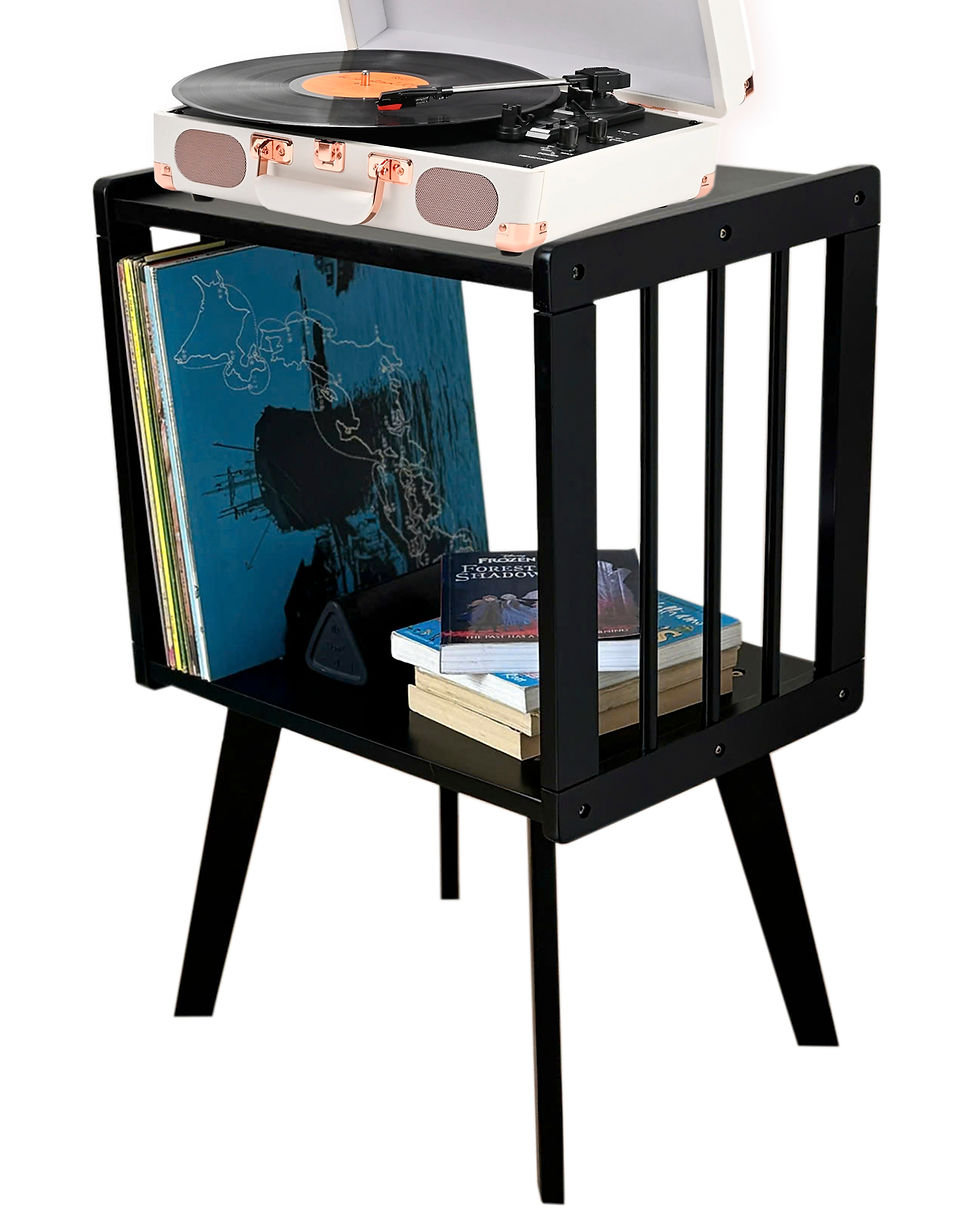 vinyl record player stand