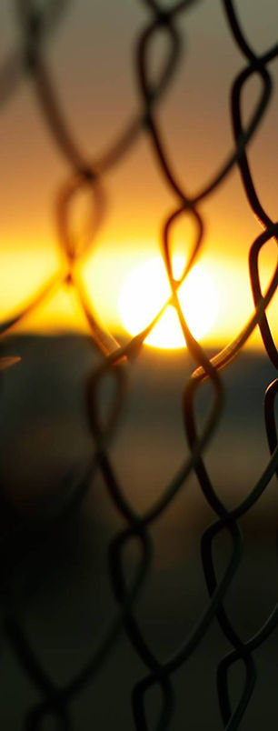 Thompson Fencing LTD photo 1