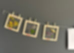 flower frames made by children hanging on a piece of string