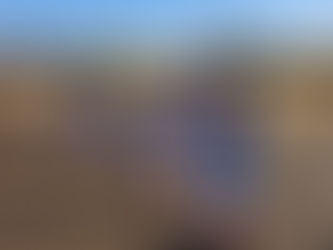 1年生 スポ少交流大会