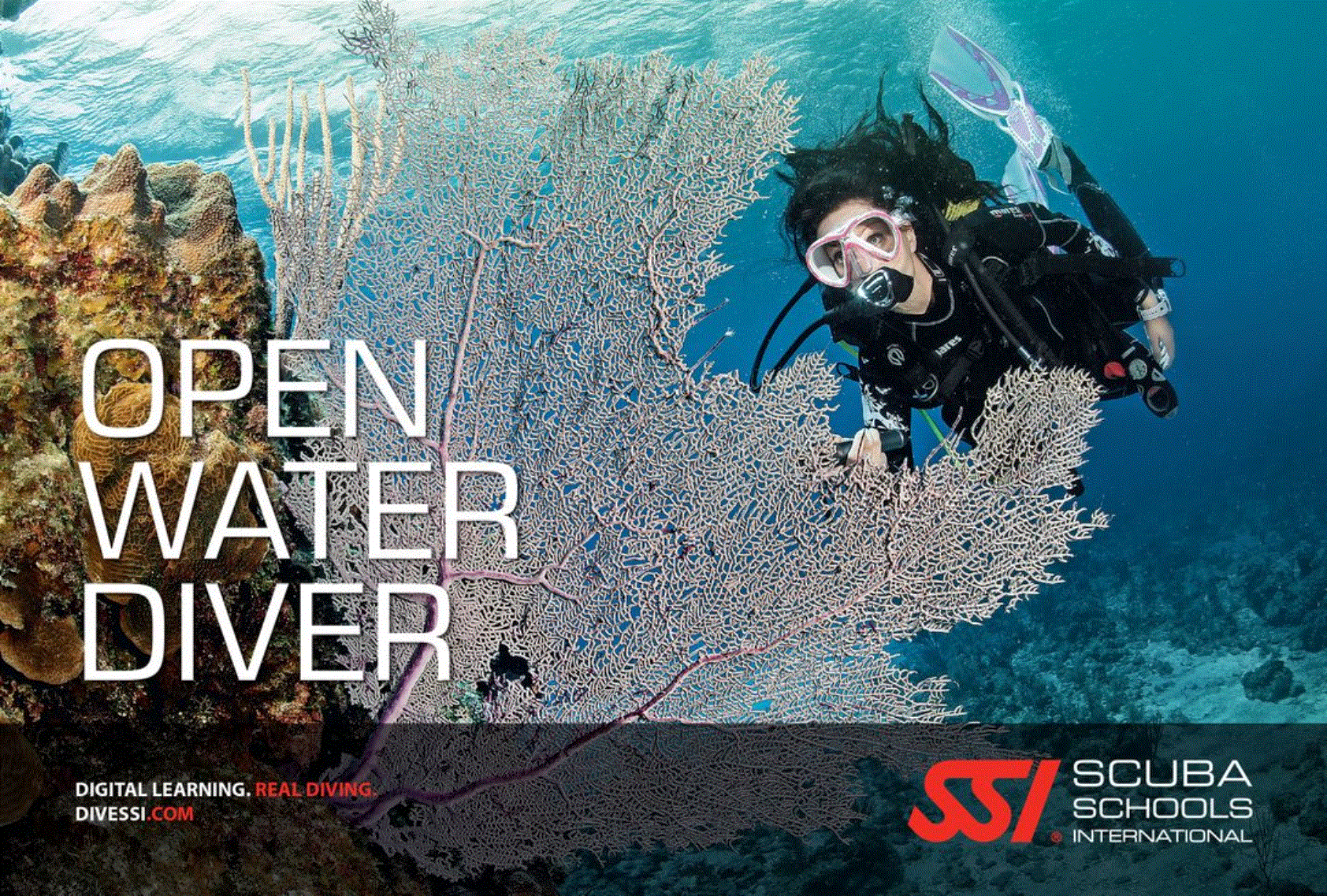 ssi open water diver 01 image.GIF