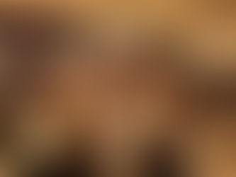 Première journée Nordique !