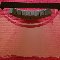 face shield back red background.jpg