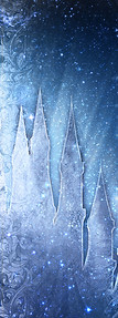 banner website.jpg