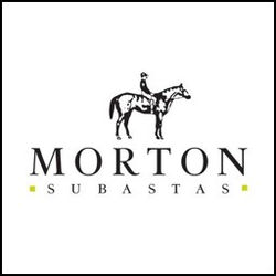 MORTON SUBASTAS cuadrado