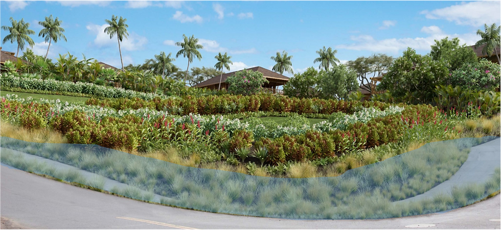 Keoneʻōʻio Street Green Street Rendering