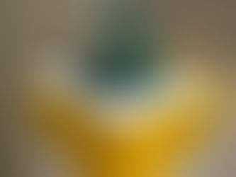 Exhibition Setup 2 - Curation and Final Product