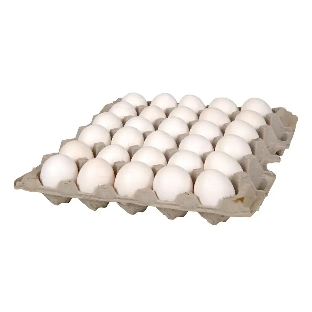 LARGE GRADE AA EGGS 30 CT TRAY
