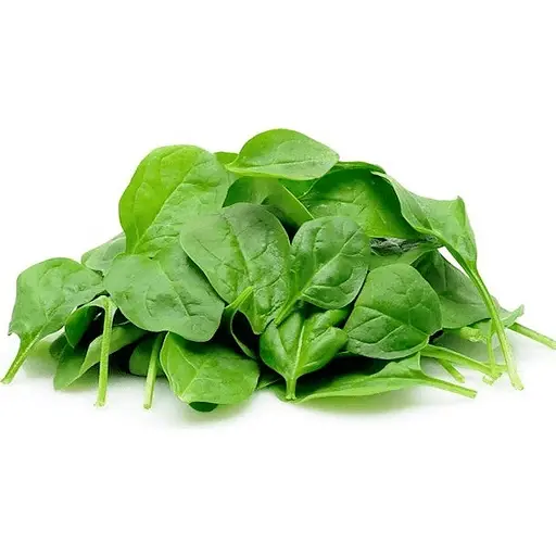 FRESH SPINACH