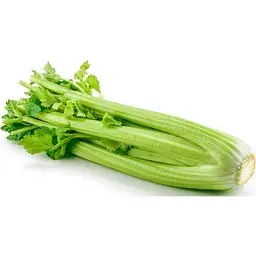 Michigan Celery Fresh Celery