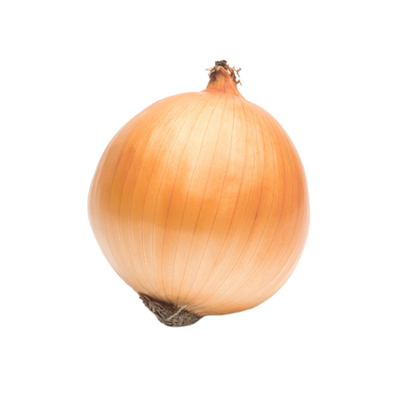 Medium Yellow Onions