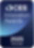 2025 CES Innovation