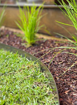 405989279_1574744539962465_1226060457480649987_n (1).jpg