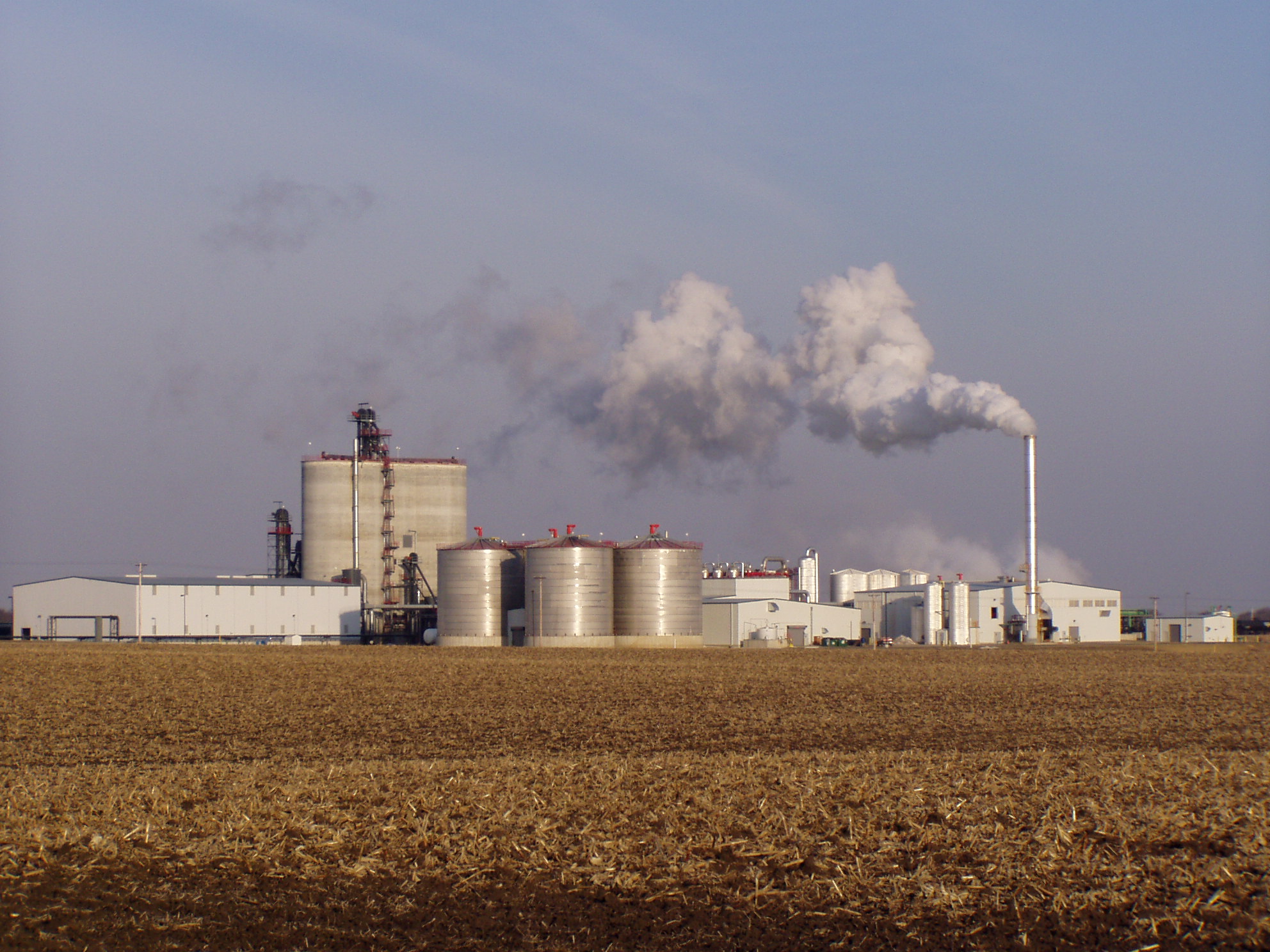 GOLDEN GRAIN Accord Architecture