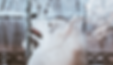 IMG_4759_edited.png