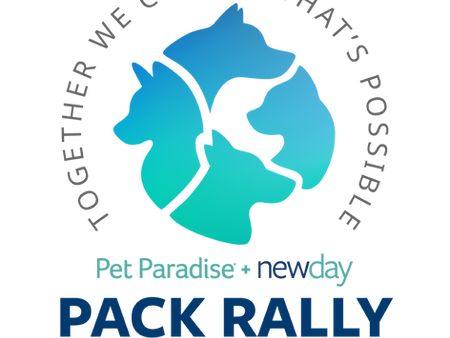 2025 Annual Award Finalists Announced!