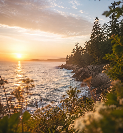 svancouverisland.png