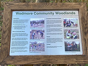 woodland.jpg