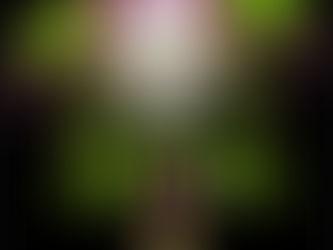 The 5th jokers card of the 2nd deck has been revealed, all welcome The Yum Yum Flower.