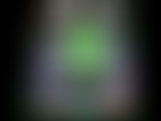 THE 24TH ANNUAL GATHERING OF THE JUGGALOS WITH ICP'S HOUSE OF HORRORS SHOW!