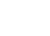 Cohens Coding Logo White