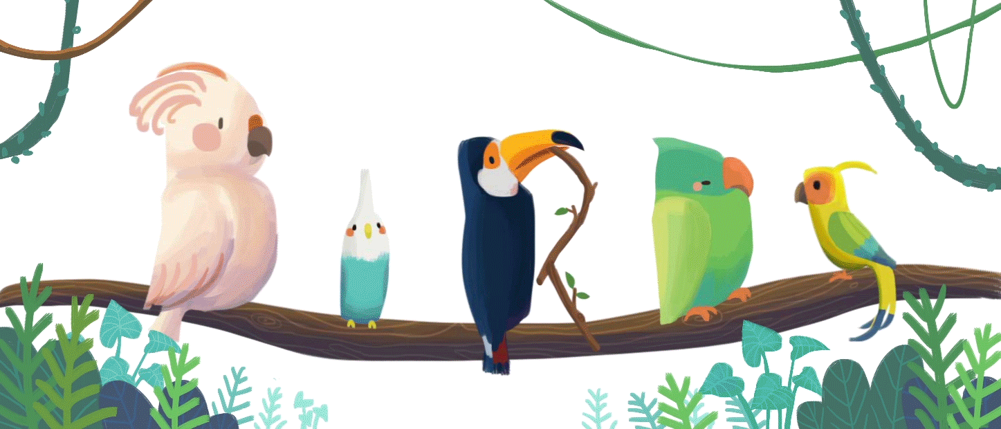 BIRDS