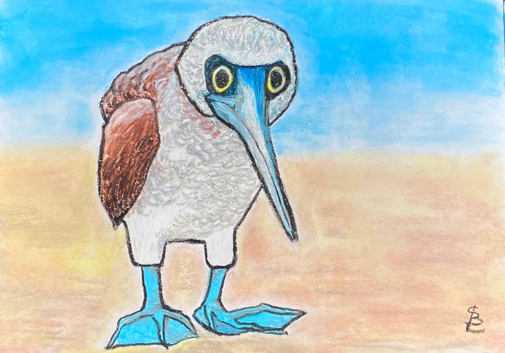 Tony The Blue Footed Booby