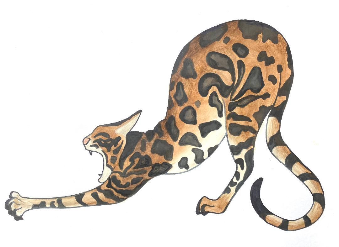 Stretchy Leopard
