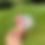 Thumbnail: HOGNOSEDIVE