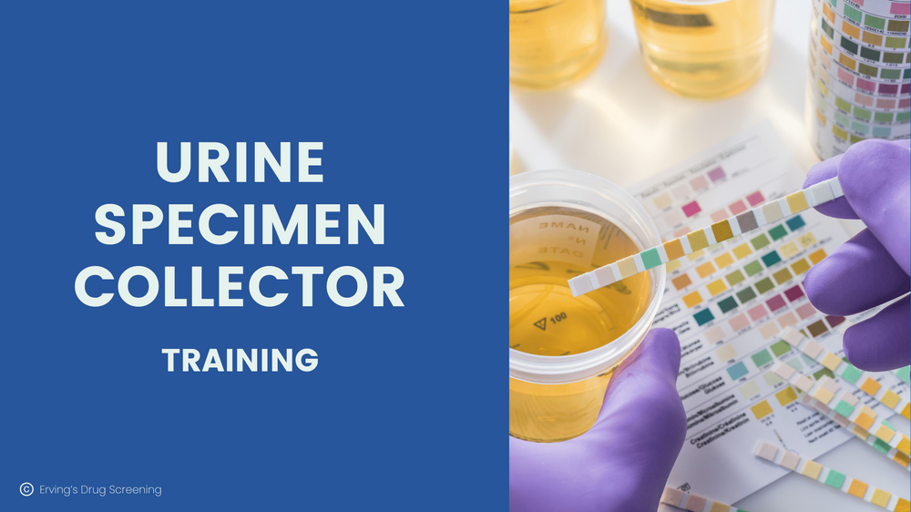 Urine Specimen Collector Training Without Mocks Business Marketplace