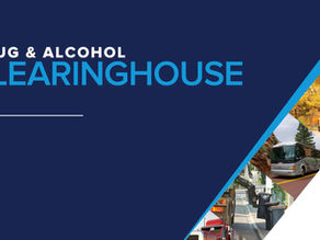 November 18, 2024, CDL Prohibited Status