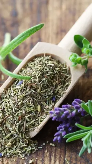 9 Best Herbs for Oral Health: A Guide to Herbal Mouth Care