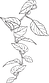 Layer 5.png