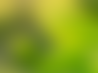 4 Ways to Celebrate World Nature Conservation Day