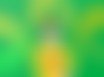 Are Your Operations Slowing You Down? 10 Steps to Streamline and Scale