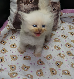 DSC01260.JPG