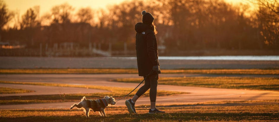 Seven Days of Morning Walks: What I Learned Putting One Foot in Front of the Other
