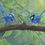 Thumbnail: Birds in Blue Limited Edition Print