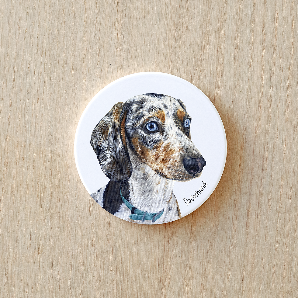 Thumbnail: Dachshund V - Ceramic Coaster