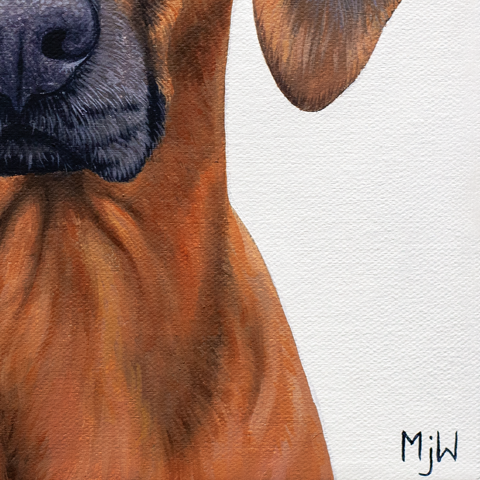 Thumbnail: Ridgeback