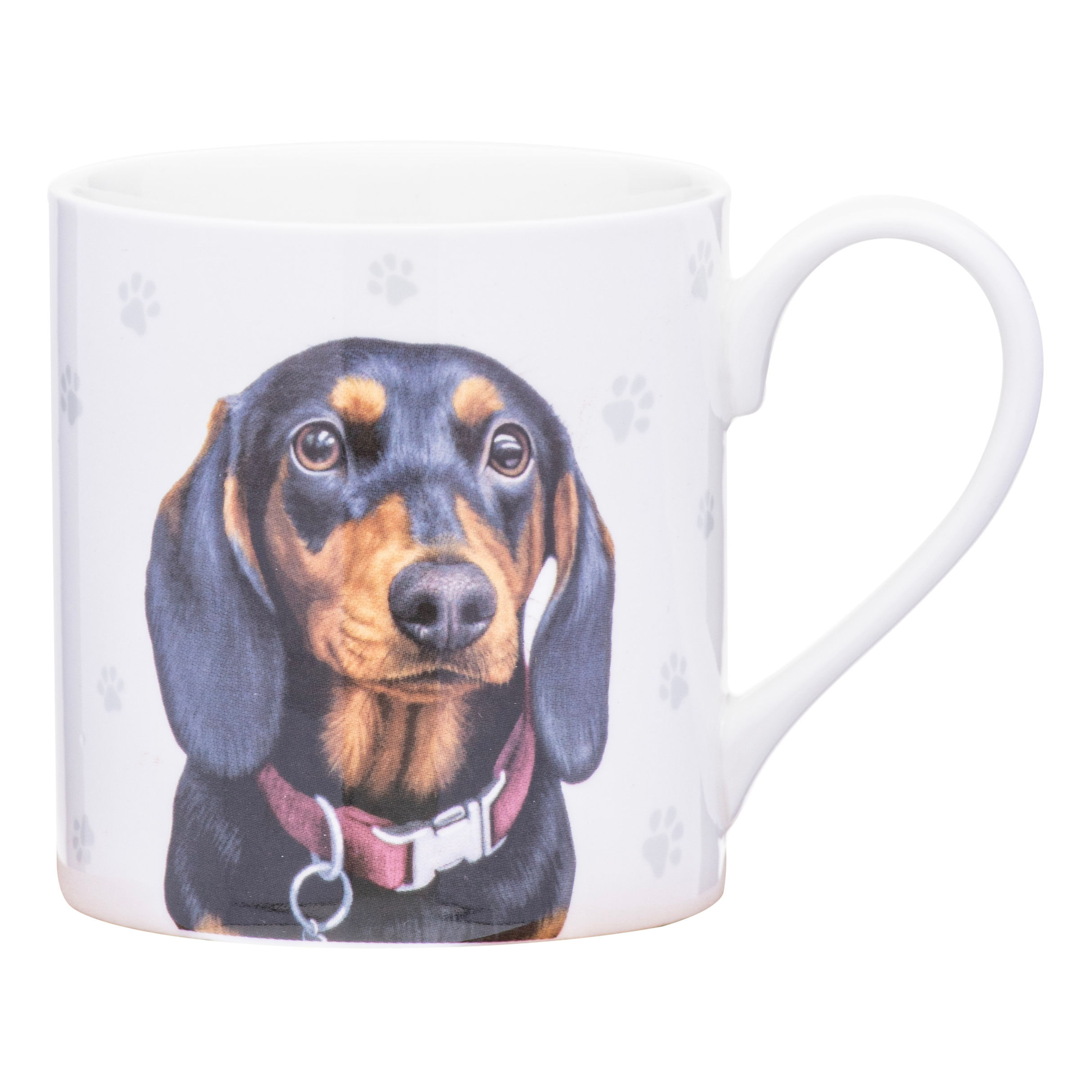 Dachshund Mug - Paws & All