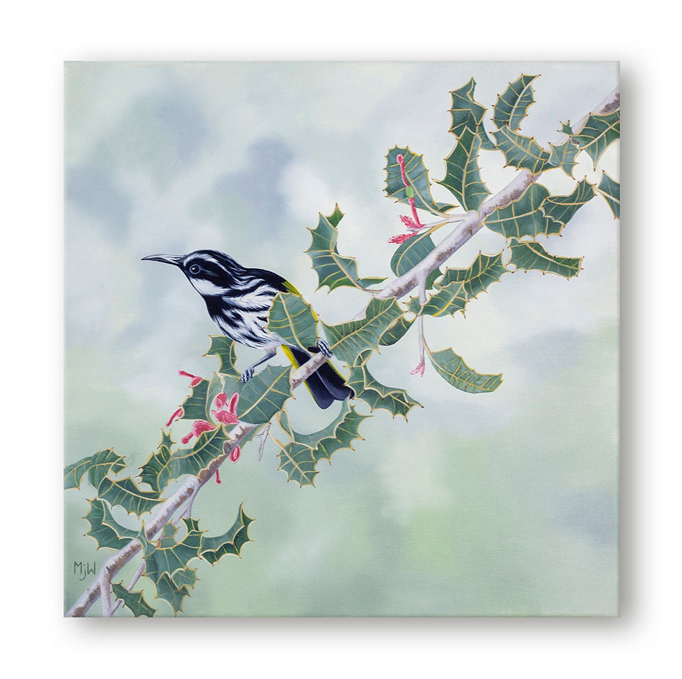 Thumbnail: White-Cheeked Honeyeater Original Oil Painting