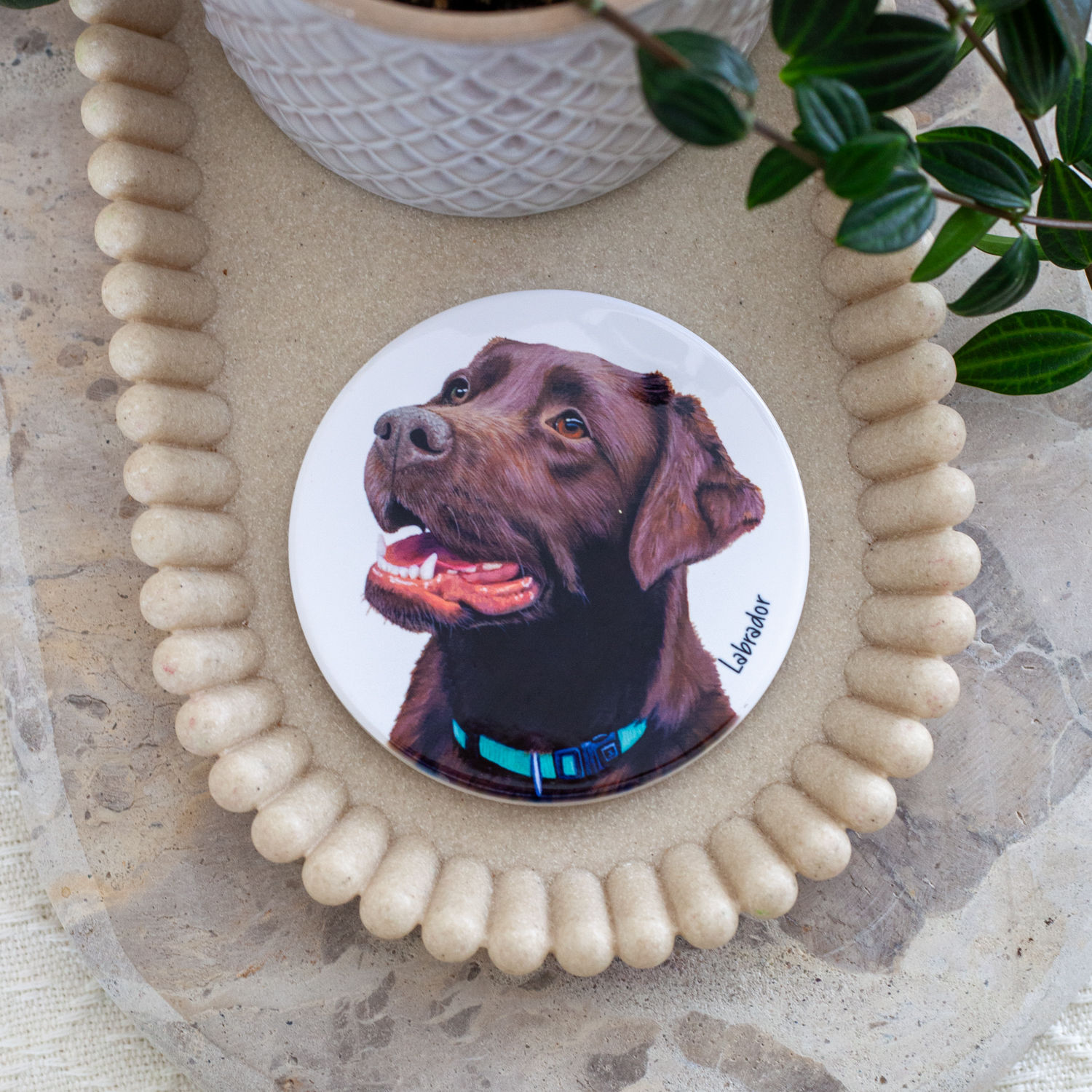 Labrador Chocolate I - Ceramic Coaster