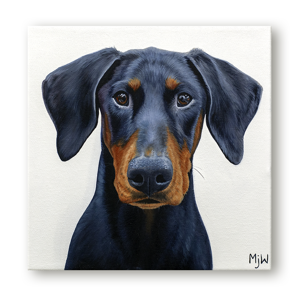 Doberman