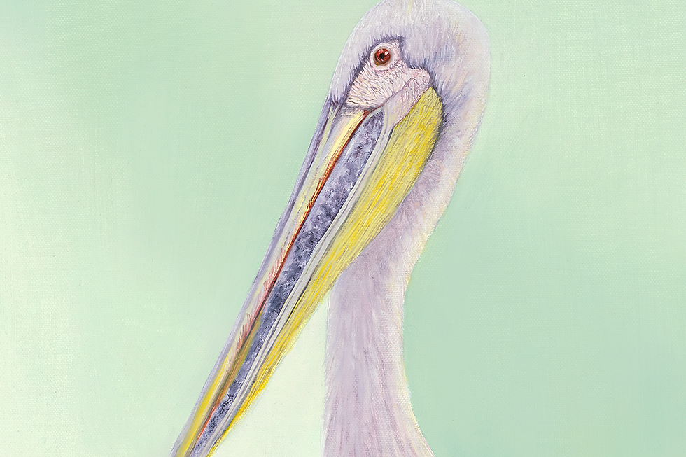 Thumbnail: Pelican Original Oil Painting