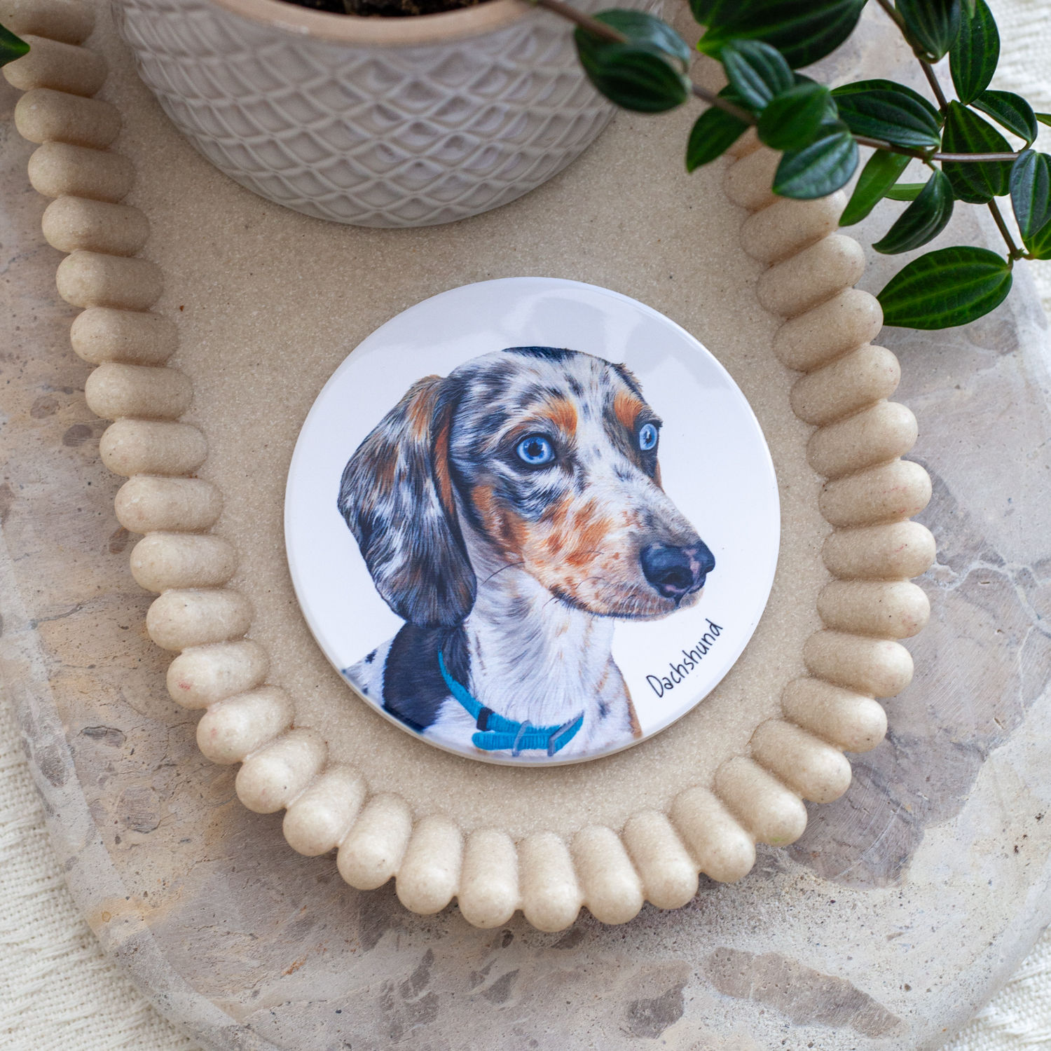 Dachshund V - Ceramic Coaster