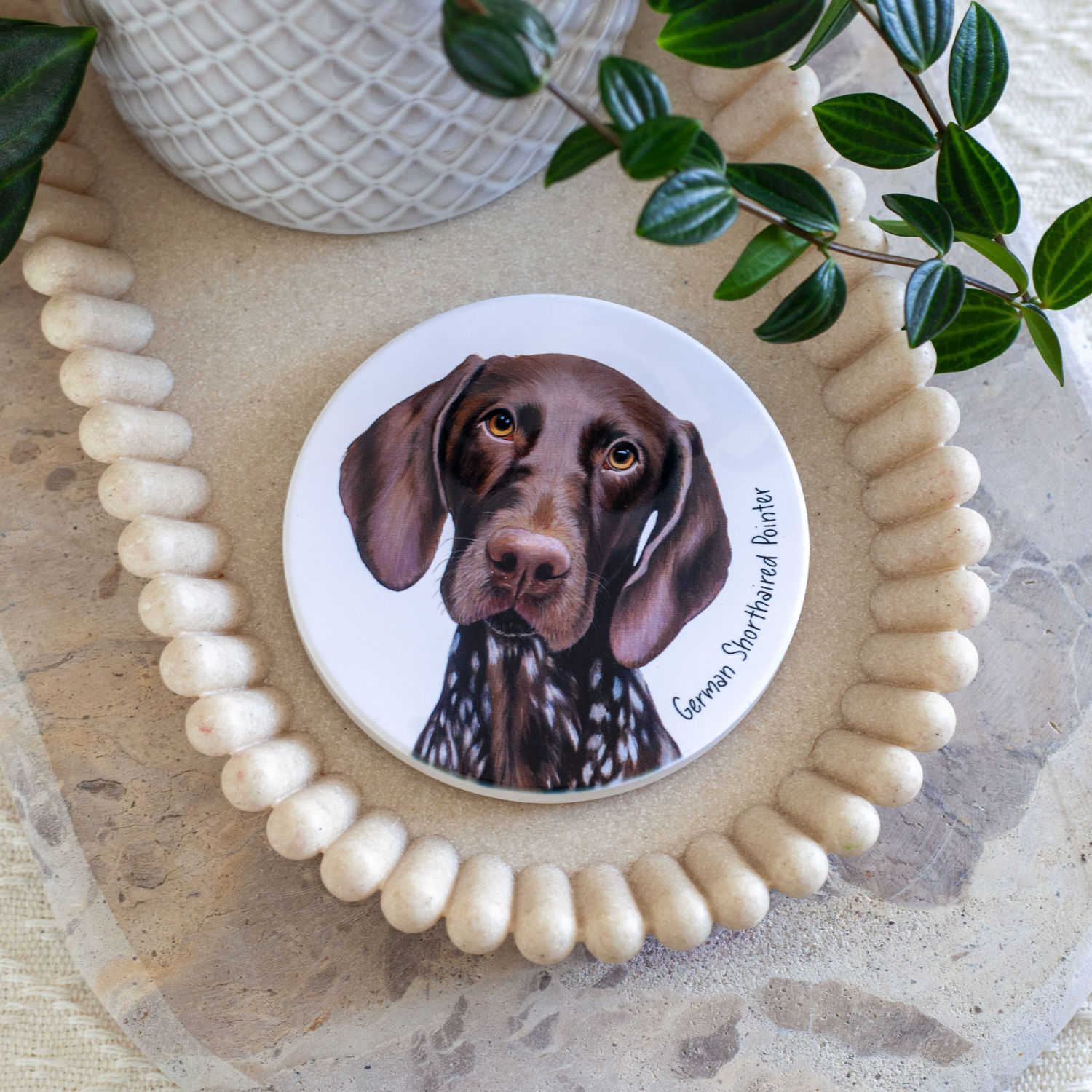 German Short Haired Pointer I - Ceramic Coaster