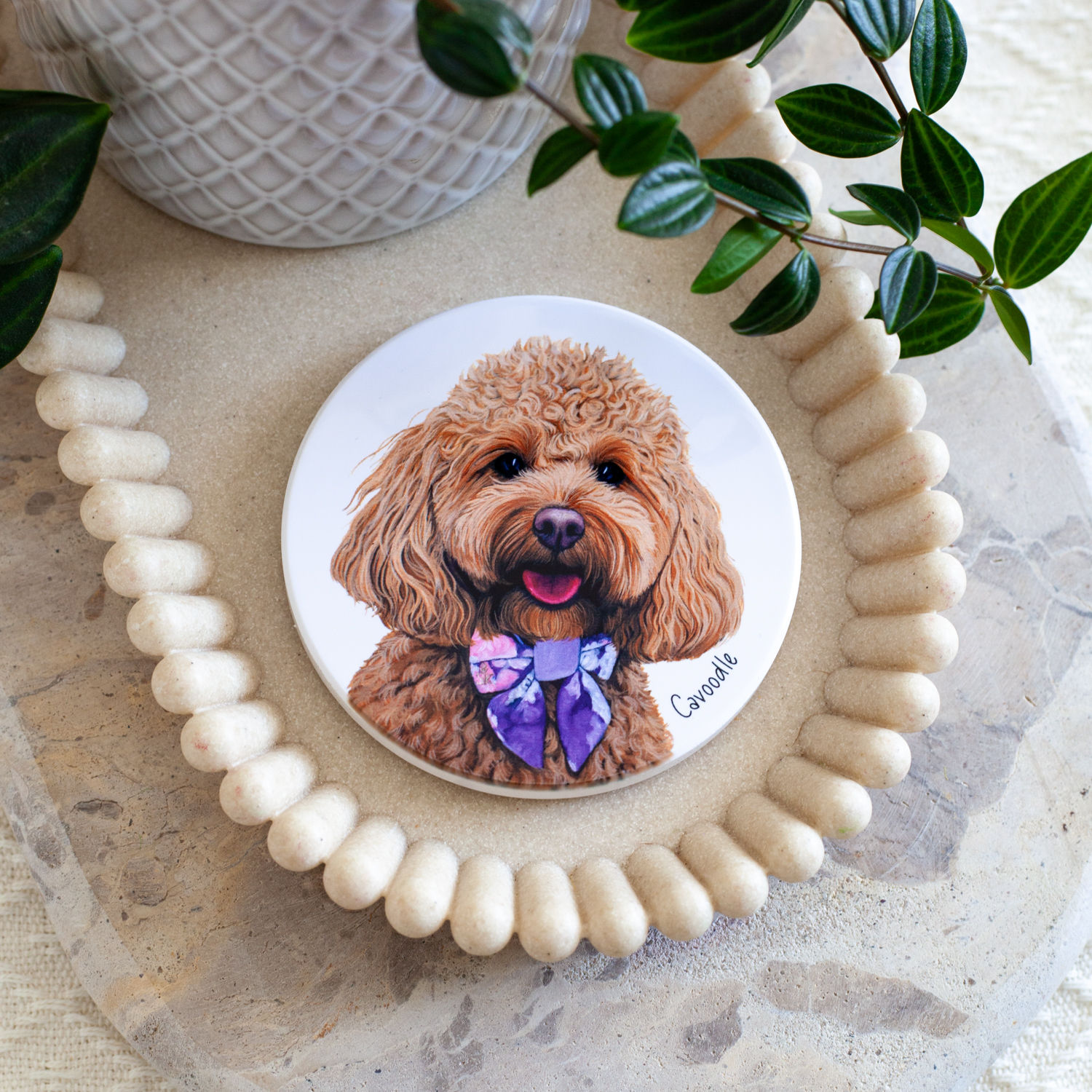 Cavoodle I - Ceramic Coaster