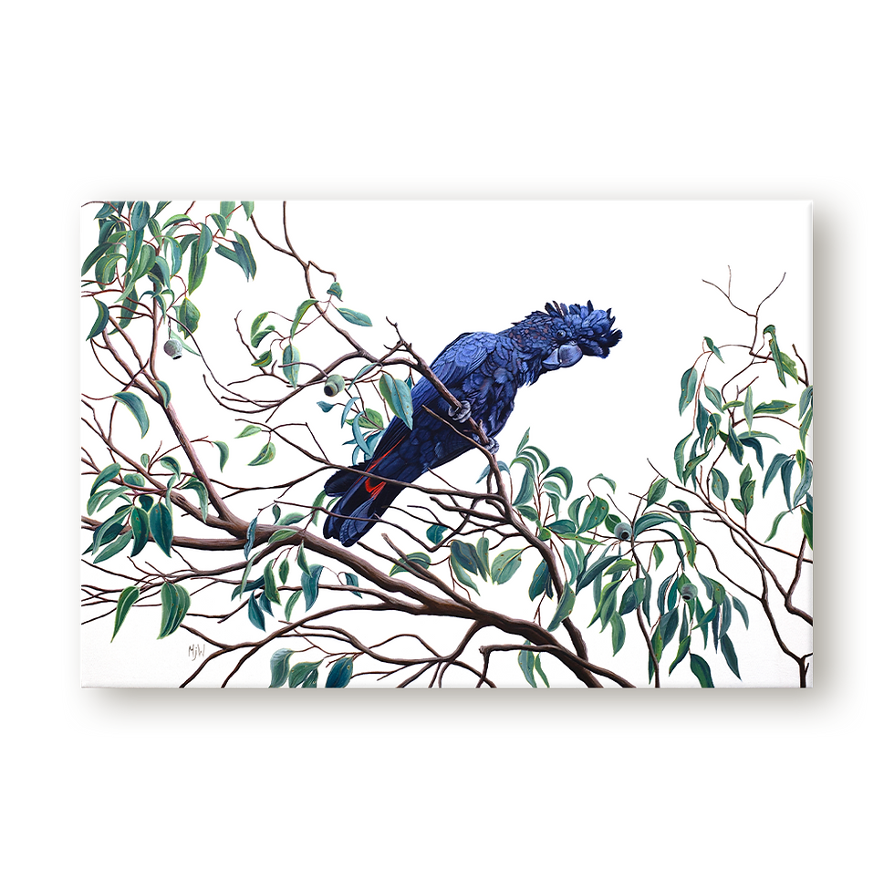 Thumbnail: Amongst the Gum Leaves Original Oil Painting