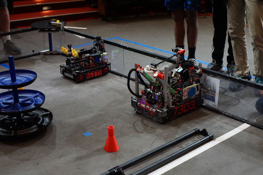 FTC 7303 x 16379_mti.jpg